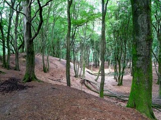Ferienpark Putten Umgebung 23