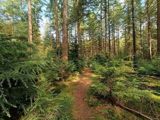 Parc de vacances Putten Environnement 10