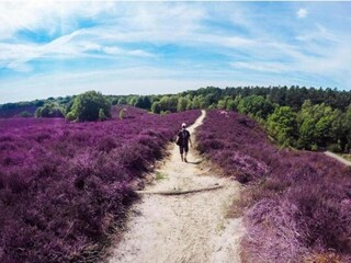 Parc de vacances Putten Environnement 24