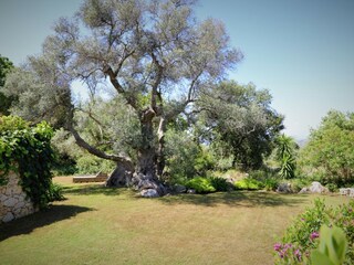 Villa Rethymnon Ambiente 40