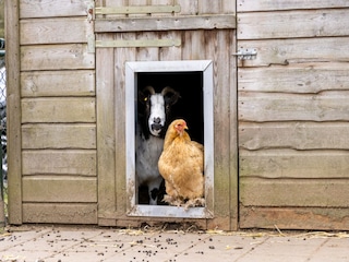 Ferienpark Putten  34