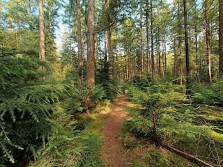 Ferienpark Putten Umgebung 20
