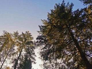 Parc de vacances Baak Environnement 30
