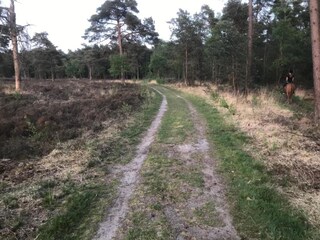 Vakantiepark Baak Omgeving 29