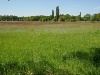 Parc de vacances Baak Environnement 29