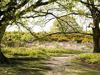 Vakantiepark Baak Omgeving 35