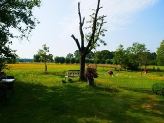 Vakantiepark Baak Omgeving 32