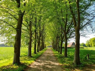 Holiday park Baak Environment 28