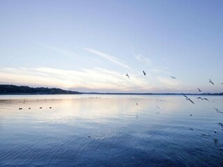 Ferienpark Waren (Müritz) Umgebung 19