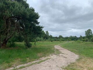 Vakantiepark Putten Omgeving 17