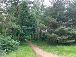 Vakantiepark Putten Omgeving 11