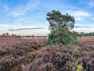 Parc de vacances Putten Environnement 21