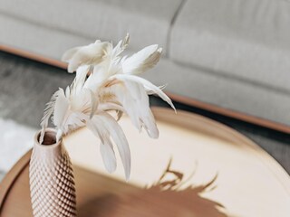 Holiday park Breskens  38