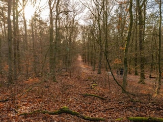 Vakantiepark Hoenderloo Omgeving 37