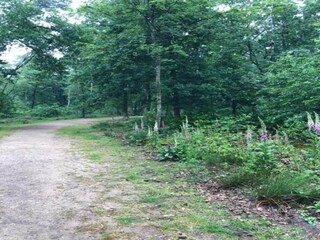 Ferienpark Hoenderloo Umgebung 17