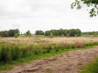 Vakantiepark Hoenderloo Omgeving 16