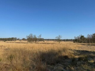 Ferienpark Hoenderloo Umgebung 22