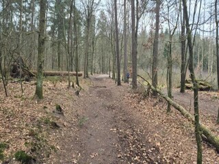 Parc de vacances Hoenderloo Environnement 19