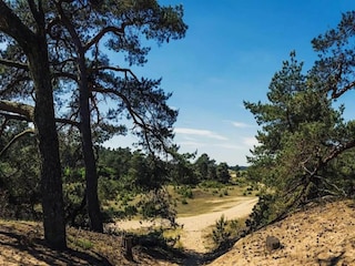 Vakantiepark Hoenderloo Omgeving 10