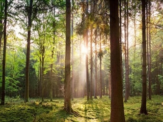 Vakantiepark Hoenderloo Omgeving 26