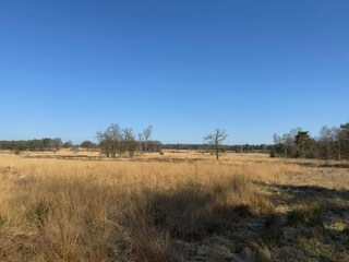 Vakantiepark Hoenderloo Omgeving 17