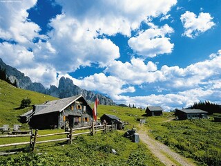 Ferienpark Neukirchen am Großvenediger Umgebung 22
