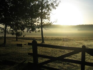 Vakantiepark Hoenderloo Omgeving 11