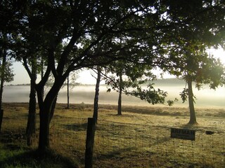 Vakantiepark Hoenderloo Omgeving 12