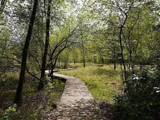 Vakantiepark Hoenderloo Omgeving 18