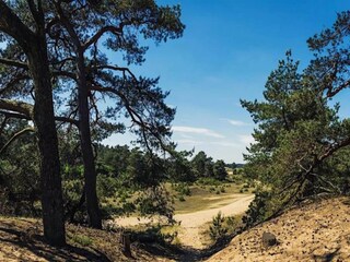 Vakantiepark Hoenderloo Omgeving 22