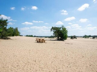 Parc de vacances Hoenderloo Environnement 14
