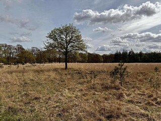 Parc de vacances Hoenderloo Environnement 17