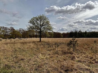 Parc de vacances Hoenderloo Environnement 23