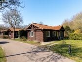 Vakantiepark Putten Buitenaudio-opname 1