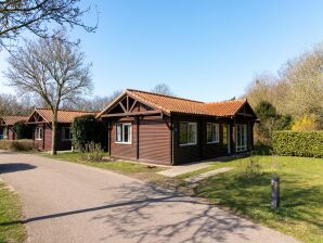 Ferienpark Holzbungalow mit Spülmaschine, 3 km. van Putten - Putten - image1