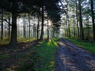 Ferienpark Putten Umgebung 15