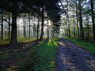 Parc de vacances Putten Environnement 15