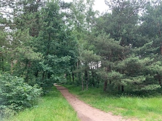 Holiday park Putten Environment 20