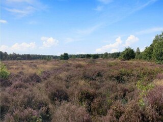 Vakantiepark Putten Omgeving 17