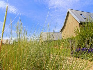 Holiday park Tholen (Stadt)  14