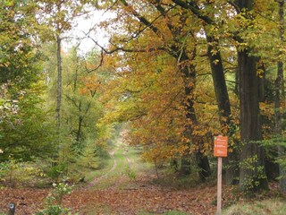 Parc de vacances Hoenderloo Environnement 13