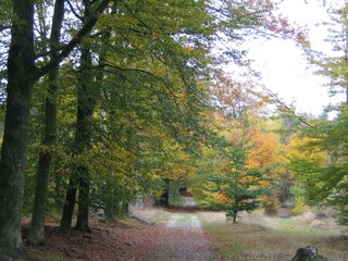 Parc de vacances Hoenderloo Environnement 14