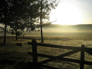 Parque de vacaciones Hoenderloo Entorno 8