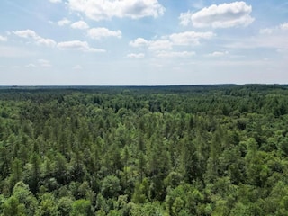 Ferienpark Hoenderloo Umgebung 20