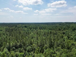 Parc de vacances Hoenderloo Environnement 20