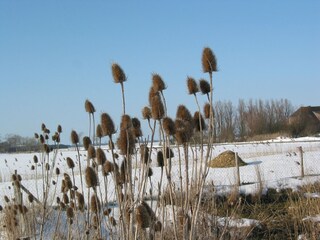 Blick in das Land