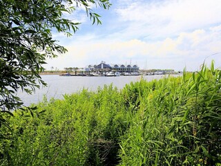 Holiday park Tholen (Stadt) Environment 18