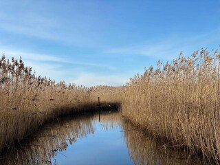 Parc de vacances Giethoorn Environnement 21