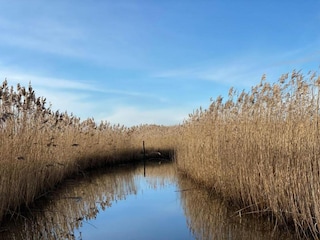 Ferienpark Giethoorn Umgebung 25