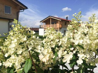Parque de vacaciones Inzell Grabación al aire libre 23
